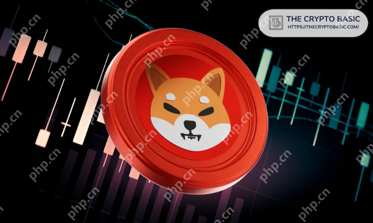 尽管具有模因启发的起源，但行业专家还是将Shiba Inu确定为加密项目之一，具有持久的潜力并保持了数十年的关系。